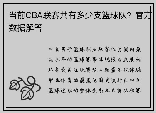 当前CBA联赛共有多少支篮球队？官方数据解答